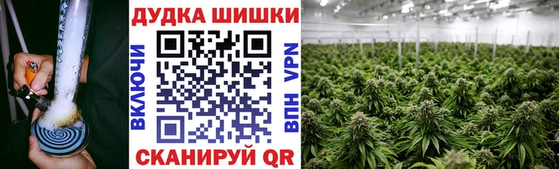 Канабис семена Алзамай